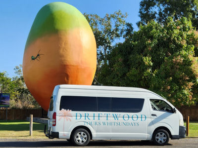 Driftwood tours -Bus Parked in front of Bowen Mango