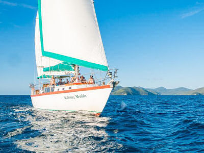 waltzing matilda - sailing